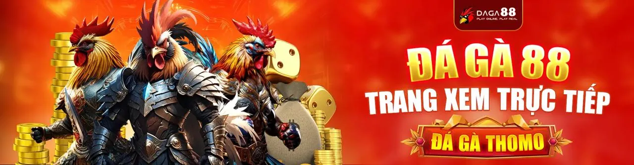 Tổng quan về 566fun, nền tảng cá cược trực tuyến hàng đầu Việt Nam